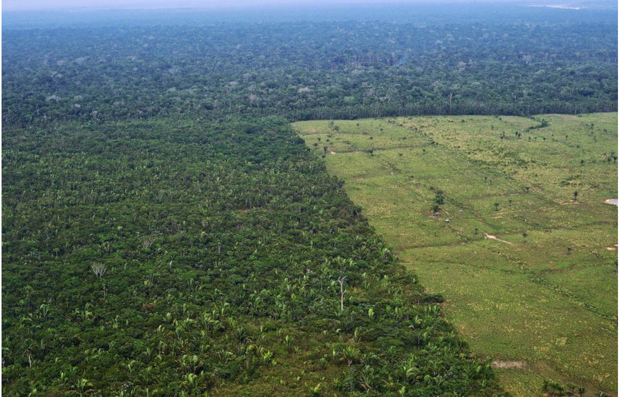 Afinal, o que é ser dono da Amazônia?
